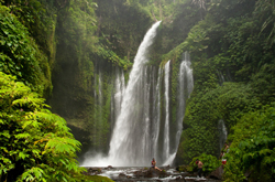 tropical waterfall lombok